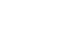 salesforce-logo-white250